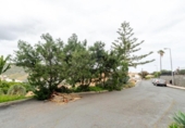 Land suitable for development for sale on España, Las Palmas, ref: TR403588 photo
