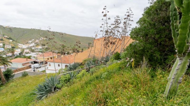 Las Palmas - Las Palmas de Gran Canaria - 423m2