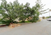 Land suitable for development for sale on España, Las Palmas, ref: TR403588 photo