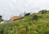 Land suitable for development for sale on España, Las Palmas, ref: TR403588 photo