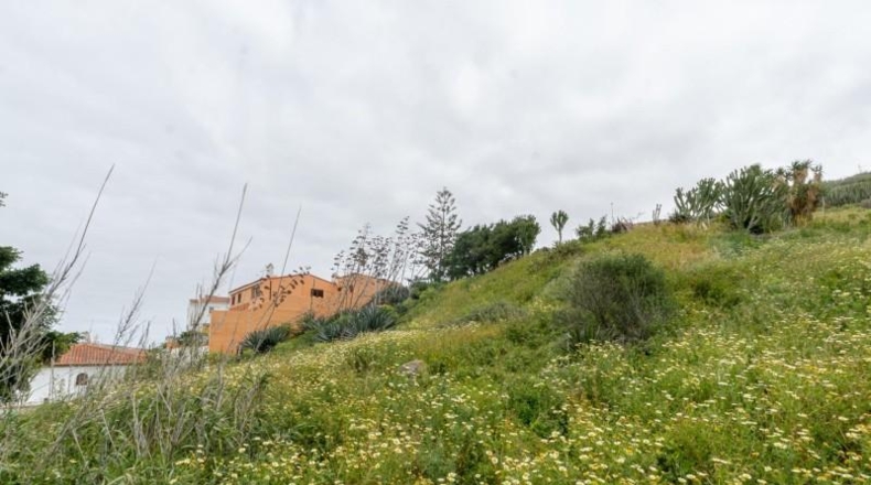 Las Palmas - Las Palmas de Gran Canaria - 423m2