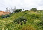 Land suitable for development for sale on España, Las Palmas, ref: TR403588 photo