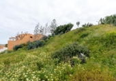 Land suitable for development for sale on España, Las Palmas, ref: TR403588 photo