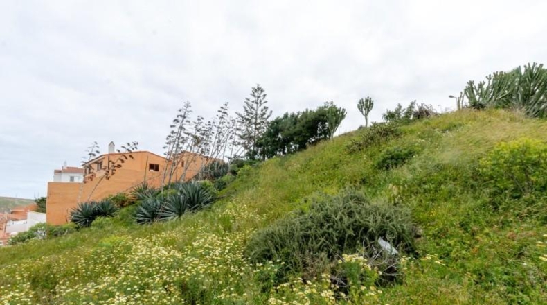 Las Palmas - Las Palmas de Gran Canaria - 423m2