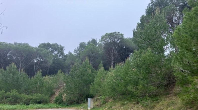 Gerona - l'Escala - 214m2