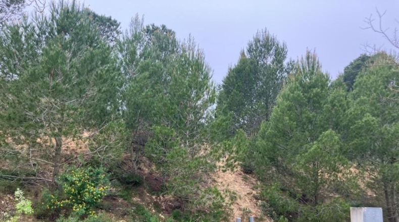 Gerona - l'Escala - 214m2