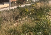 Земля на продажу у города Canyelles Фото