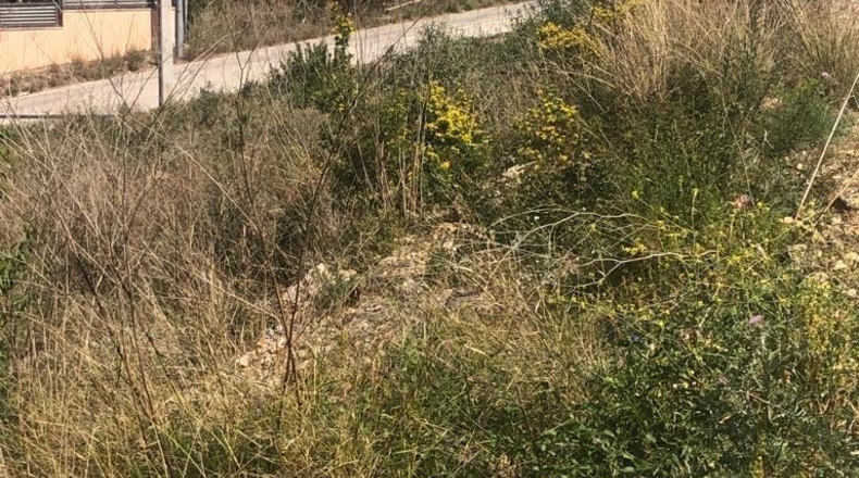 Barcelona - Canyelles - 899m2