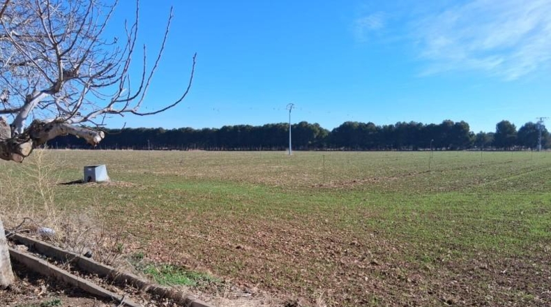 Albacete - Albacete - 40000m2