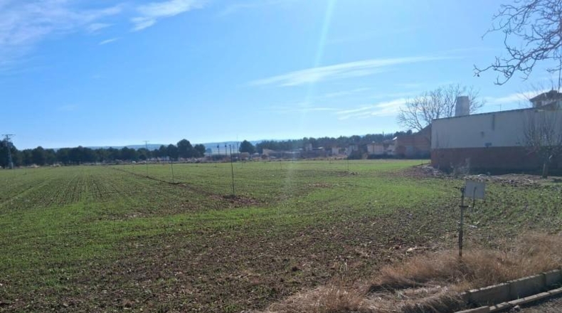 Albacete - Albacete - 40000m2