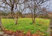 Non-developable land for sale on España, Gondomar, ref: TR113341 photo