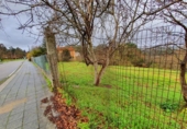 Non-developable land for sale on España, Gondomar, ref: TR113341 photo