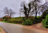 Non-developable land for sale on España, Gondomar, ref: TR113341 photo
