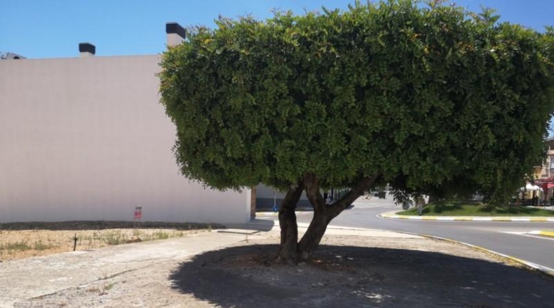 Castellón - Vall d'Alba - 376m2