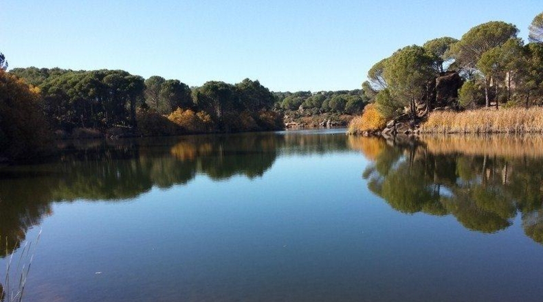 Córdoba - Córdoba - 1580m2