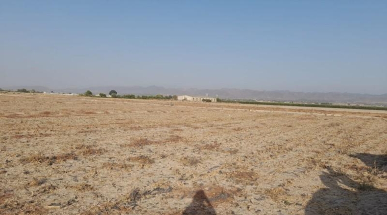 Múrcia - Lorca - 10700m2