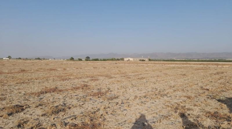 Múrcia - Lorca - 10700m2