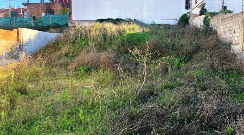 Cádiz - Algeciras - 500m2