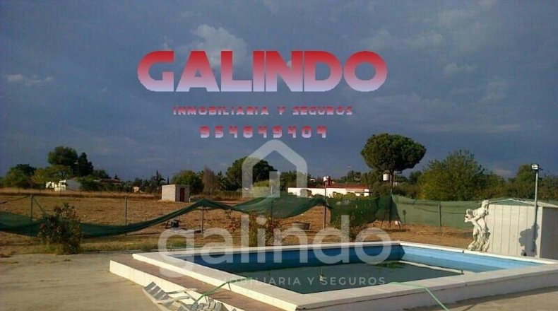 Sevilla - Arahal - 10000m2