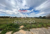 Casa de camp amb terreny en venda a la España, Arahal, ref.: TR197162 foto
