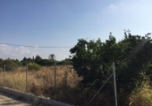 Terreno no urbanizable en venta en la España, Murcia, ref: TR119617 foto