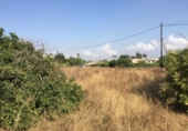 Terreno no urbanizable en venta en la España, Murcia, ref: TR119617 foto
