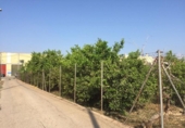 Terreno no urbanizable en venta en la España, Murcia, ref: TR119617 foto