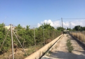 Non-developable land for sale on España, Murcia, ref: TR320142 photo