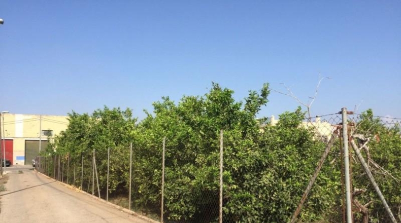 Murcia - Múrcia - 3000m2