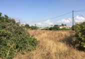 Non-developable land for sale on España, Murcia, ref: TR320142 photo