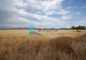Terreny no urbanitzable en venda a la España, Mazarrón, ref.: TR121687 foto