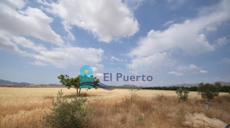 Múrcia - Mazarrón - 72000m2