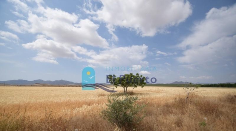 Múrcia - Mazarrón - 72000m2