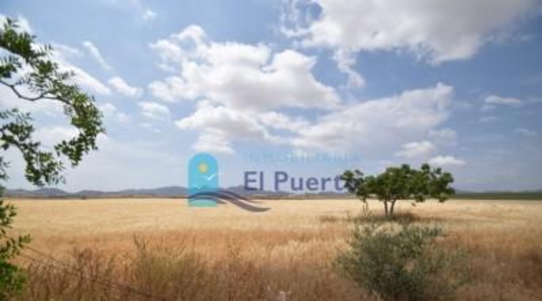 Múrcia - Mazarrón - 72000m2