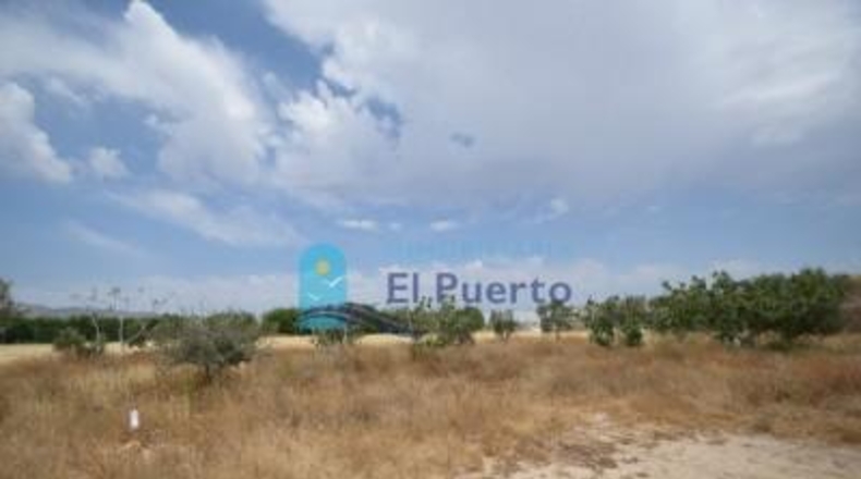 Múrcia - Mazarrón - 72000m2
