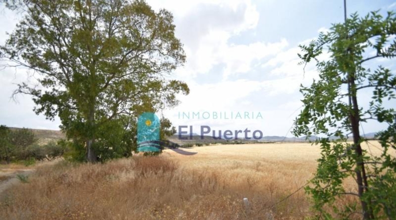 Múrcia - Mazarrón - 72000m2