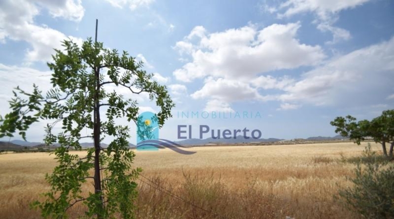 Múrcia - Mazarrón - 72000m2