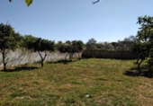 Xalet independent amb terreny en venda a la España, Alcalá de Guadaíra, ref.: TR163548 foto