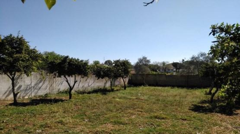 Sevilla - Alcalá de Guadaíra - 179m2