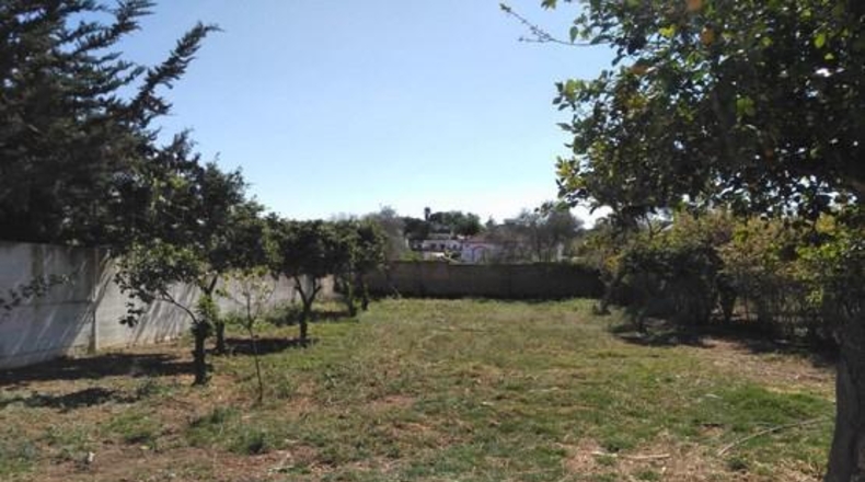 Sevilla - Alcalá de Guadaíra - 179m2