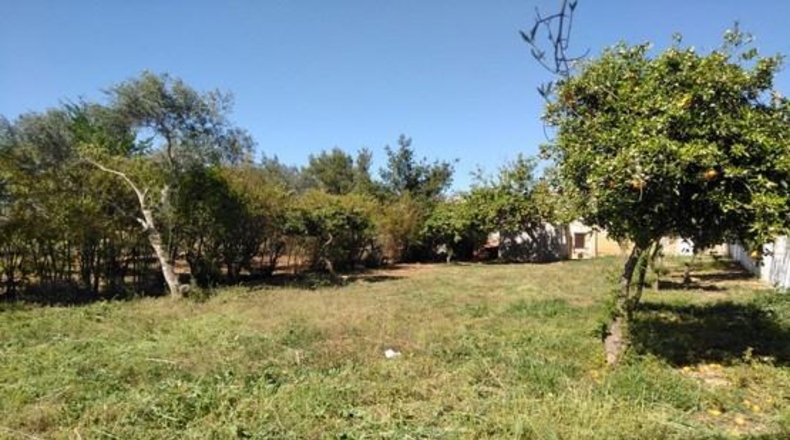 Sevilla - Alcalá de Guadaíra - 179m2