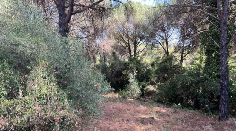 Córdoba - Córdoba - 6900m2