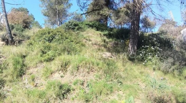 Barcelona - Vacarisses - 704m2