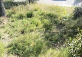 Sòl urbà en venda a la España, Vacarisses, ref.: TR248343 foto