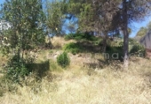 Sòl urbà en venda a la España, Vacarisses, ref.: TR248343 foto