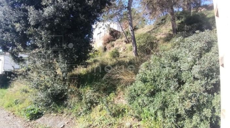 Barcelona - Vacarisses - 704m2