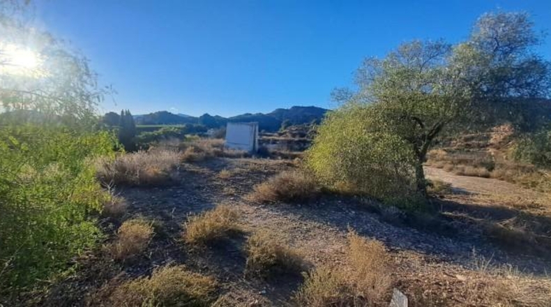 Murcia - Librilla - 15574m2