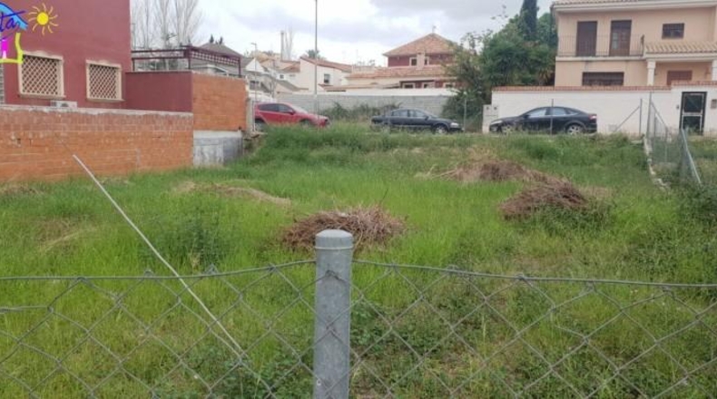 Múrcia - Archena - 381m2
