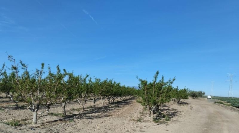 Murcia - Totana - 17000m2