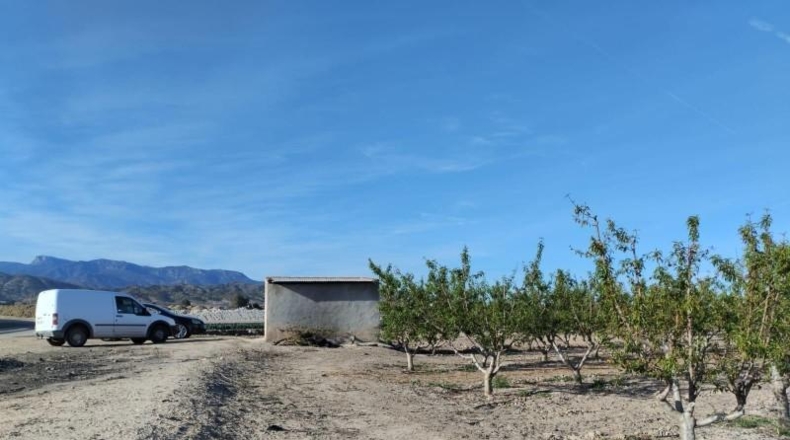 Murcia - Totana - 17000m2
